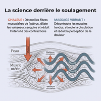 Ceinture chauffante et massante menstruelle